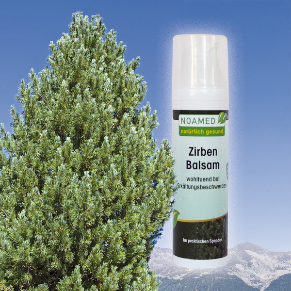 Zirben Balsam  75ml  im Spender